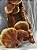Kt 3 Extratos de Cogumelo Ganoderma Lucidum (Reishi) - Imagem 5