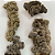 Extrato de Cogumelo Turkey Tail - Imagem 5