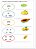 Sequência de atividades com lista de frutas em pdf - Imagem 2