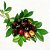 Deliciosa Cereja do Rio grande Muda com 70 cm -  Eugenia involucrata + BRINDE - Imagem 1