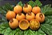 Muda De Guabiroba Deliciosa Fruta Nativa Com 80 Cm + Brinde - Imagem 1