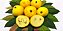 Muda de Frutífera de Araçá Boi - Fruta Iogurte com 80 cm - Imagem 1