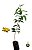 Muda Frutífera e Ornamental Sete Capotes com 80 cm - Campomanesia guazumifolia - Imagem 1