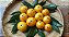 Muda de Cambucá Fruta Deliciosa com Valor Medicinal - Imagem 1