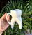 Caneca Formato 3D Dente Molar - Imagem 4