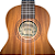 Ukulele Concerto Eletroacústico Shelby SU23ME ( produto novo ) - Imagem 3