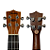 Ukulele Tenor Eletroacústico Shelby SU25ME STNT - Imagem 7