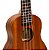 Ukulele Sapele 21 - UB-21 - Benson - Imagem 2