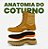 NOVO COTURNO COYOTE EB ZÍPER - PRICE - Imagem 7