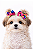 2 Laços Para Penteado Pet - Imagem 1