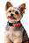 Coleira para Pet Ajustável (Para Cães de Pequeno e Médio Porte) - Imagem 1