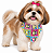 Bandana Para Pet Ajustável - Imagem 1