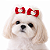 2 Laços Para Penteado Pet - Imagem 1