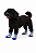 Meias para Pet - Antiderrapante - Tamanho M - Imagem 1