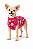 Roupa Pet em Soft G (Medidas na Descrição do Anúncio) - Imagem 1