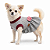 Roupa Pet em Malha M - Vestido (Medidas na Descrição do Anúncio) - Imagem 1