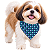 Bandana Para Pet Ajustável - Imagem 1