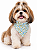 Bandana Para Pet Ajustável - Imagem 1