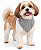 Bandana Para Pet Ajustável - Imagem 1