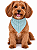 Bandana Para Pet Ajustável - Imagem 1