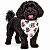 Bandana Para Pet Ajustável - Imagem 1
