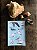 Cartela de Adesivos - 7 aves de Noronha - Imagem 1