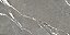 PORCELANATO DAMME BRONZO FIORINO AR12237 CINZA MARMORIZADO 62X121CM - Imagem 1