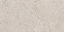 PORCELANATO DAMME RAPOLANO CHAMPAGNE AR12299 ACETINADO 62X121CM - Imagem 1