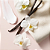 VICTORIA'S SECRET Fragrance Mist | BARE VANILLA - Imagem 2