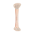 Pincel Duplo de Contorno Patrick Ta Precision Dual Ended Sculpting Brush - Imagem 1