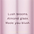 Fragrância Victoria´s Secret Velvet Petals Fragrance Mist | 250ML - Imagem 2