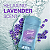 Desodorante em Gel Secret Fresh Clear Gel Relaxing Lavender 73G - Imagem 3
