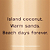 Fragrância Victoria's Secret Coconut Passion 250ML - Imagem 2