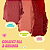 Balm Multiuso The Crème Shop Kiss & Blush Lip & Cheek Balm | Cor: Berry Milkshake - Imagem 6