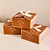 Kit de Pincéis Spectrum Pumpkin Spice Box - Imagem 6