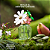 Mini Kit Presenteável Sephora Favorites Mother's Day Perfume Sampler Gift Set | EDIÇÃO LIMITADA - Imagem 6