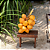 Fragrância Sand + Fog Coconut Blossom 50 ml Perfume Oil Dropper - Imagem 2
