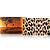 Paleta de Sombras Nomad Cosmetics Okavango Safari Palette - Imagem 3