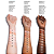 Corretor de Cor Morphe Wakeup Artist Under Eye Correcting Concealer | Cor: Blossom 01 - Imagem 4