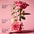 Kit Presenteável Bath and Body Works Rose Mini Gift Set - Imagem 3