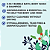 Sabonete Líquido Infantil 3 em 1 Dr Teal's Kids 3-in-1 Bubble Bath 591ml | Ashwagandha - Imagem 2