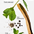 Vela Bath And Body Works Walk In The Woods 3-Wick Candle - Imagem 2
