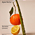 Sabonete Líquido Bath and Body Works Sun-Washed Citrus Revitalizing Hand Soap 266ml - Imagem 2