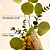 Sabonete Líquido Bath and Body Works Eucalyptus Spearmint Gentle & Clean Foaming Hand Soap 259ml - Imagem 2