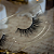 Cílios Postiços Glamlite Annabelle x Glamlite Lash - Imagem 2