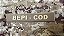 TARJETA BEPI-COD - Imagem 1