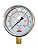 MANOMETRO RETO 100MM 300PSI X 20KG ROSCA 1/2 CAIXA INOX - Imagem 1