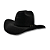 Chapeu country americano - Imagem 1