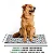 Kit Plus com 5 unidades - Imagem 3