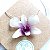 Orquídea Denphal arroxeada - prata - Imagem 1